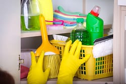 Sort and Label Cleaning Products